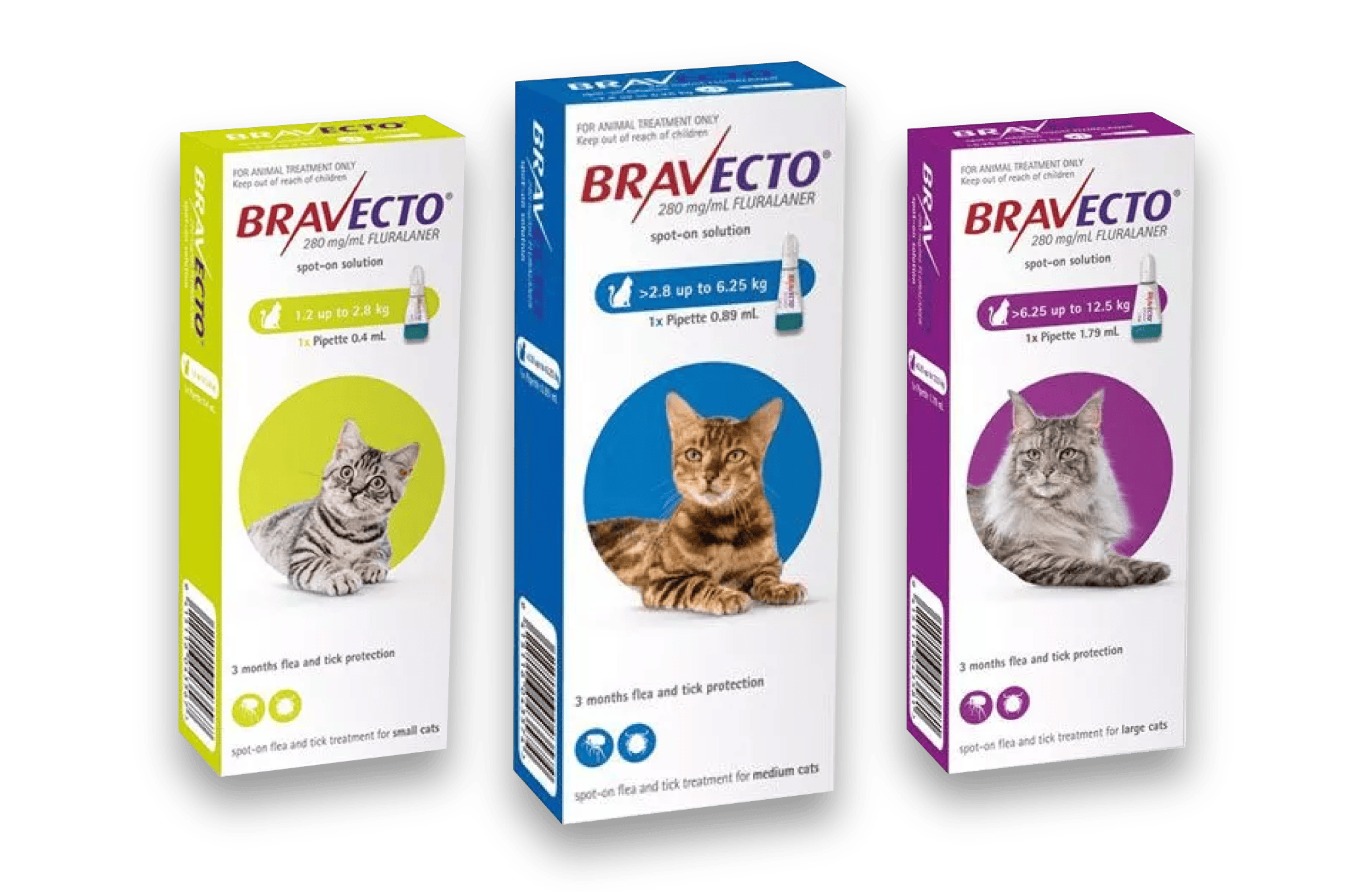 Parasites | Defending Our Furry Friends | Bravecto NZ