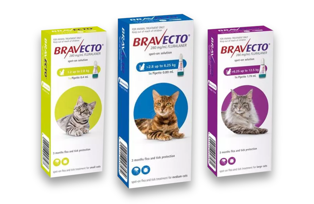 Protect your cats and dogs from parasites with Bravecto.
