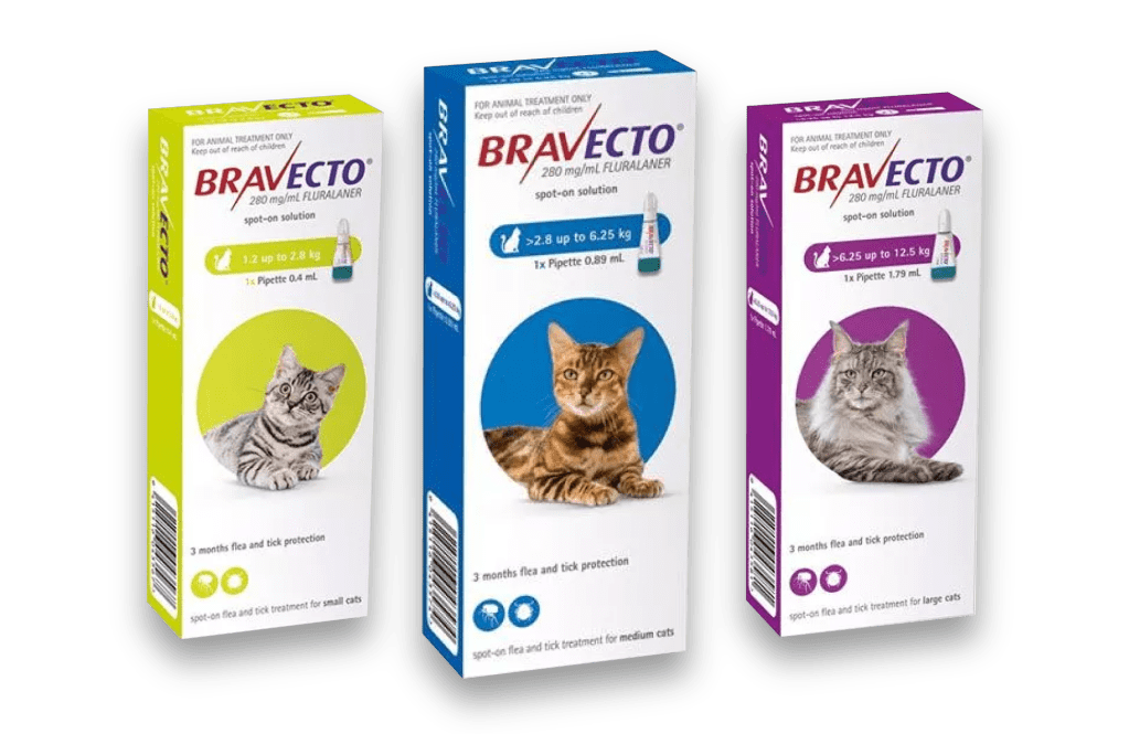 Protect your cats and dogs from parasites with Bravecto.