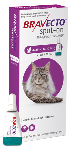 Bravecto Spot-on for Cats - Large - 6.25kg - 12.5kg