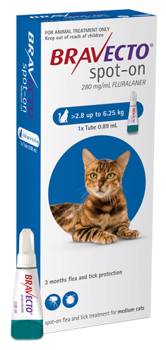 Bravecto Spot-on for Cats - Medium - 2.8 kg - 6.25 kg