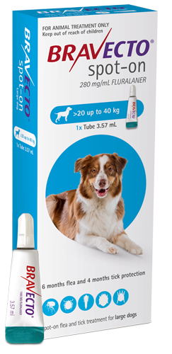 Bravecto Spot-on for Dogs - for large dogs.