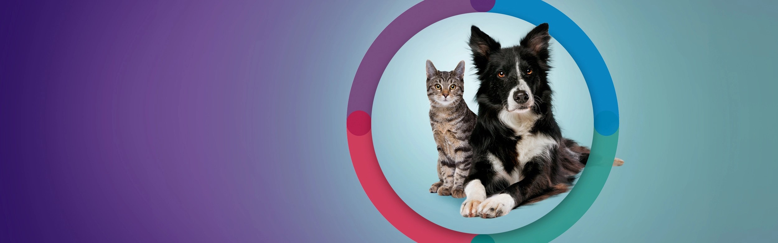 Longest Lasting Flea Protection for Cats and Dogs