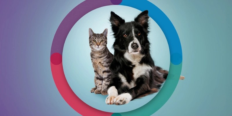 Longest Lasting Flea Protection for Cats and Dogs