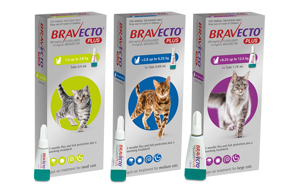 Bravecto Plus for Cats range