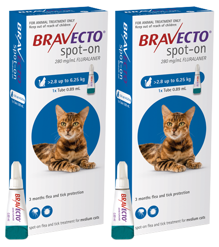 Bravecto Spot-on for Cats - 2 pipettes for cats 