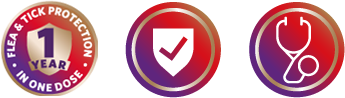 BRAVECTO QUANTUM - Flea and Tick Protection 1 Year