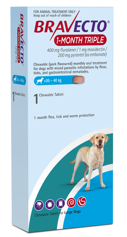 Bravecto 1-Month Triple Large Pack Single