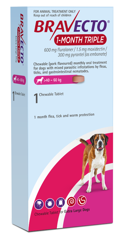 Bravecto 1-Month Triple XL Pack Single