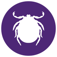 Tick