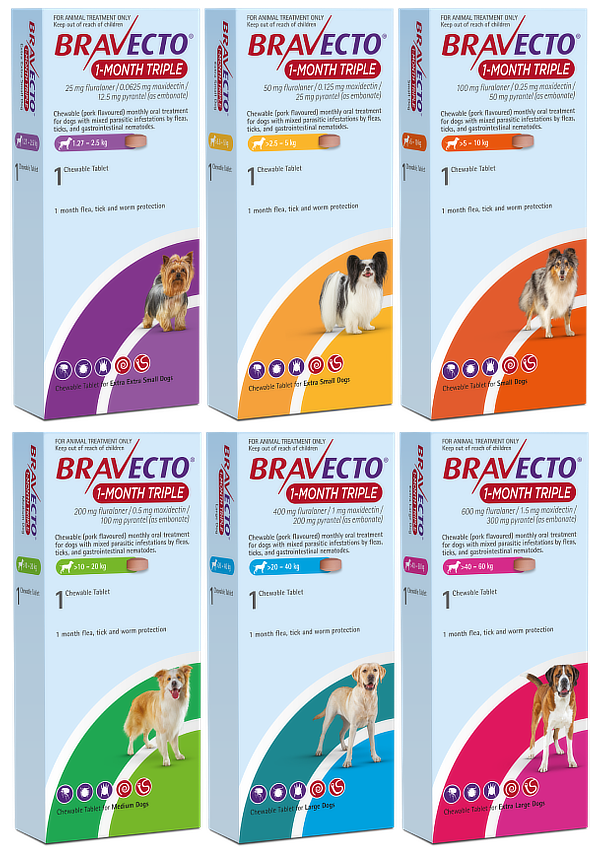 Bravecto 1-Month Triple group shot