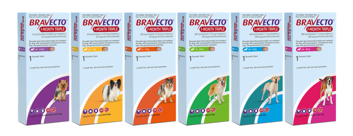 Bravecto 1-Month Triple