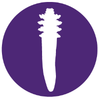Demodex Mites